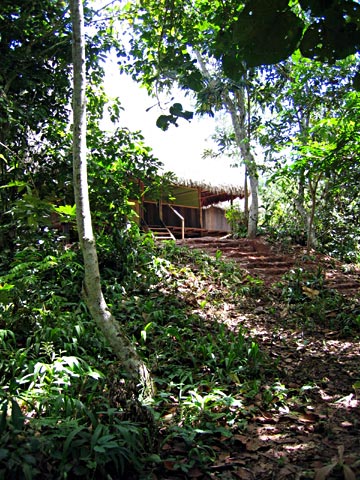 Amazon Lodge