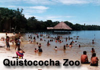 Quistococha Zoo | Iquitos Peru