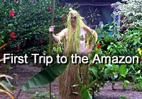Amazon Curaca Lodge